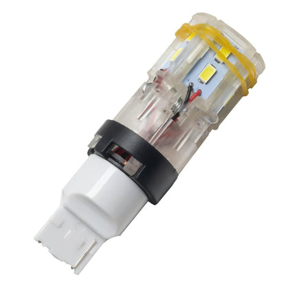 ORACLE Lighting Oracle 7440 24 SMD 3 Chip Spider Bulb (Single) - Cool White