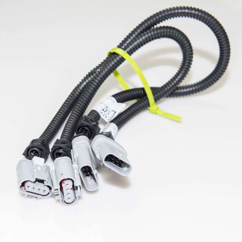 Kooks Headers Kooks 2014-2019 Chevrolet Corvette C7 O2 Sensor Extension Harness
