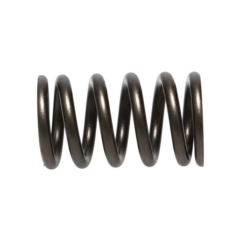 Manley Performance Manley Nissan (SR20DE SR20DET) 16pc Valve Springs