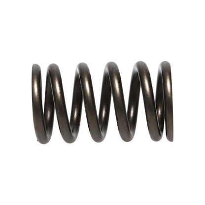 Manley Performance Manley Nissan (SR20DE SR20DET) 16pc Valve Springs