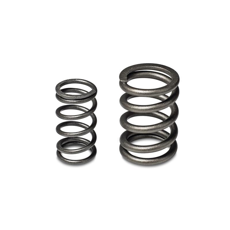 Skunk2 Racing Skunk2 Tuner Series Honda/Acura (B16A/ B17A/ B18C) DOHC VTEC Alpha Valve Spring Set (Dual Springs)