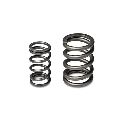 Skunk2 Racing Skunk2 Tuner Series Honda/Acura (B16A/ B17A/ B18C) DOHC VTEC Alpha Valve Spring Set (Dual Springs)