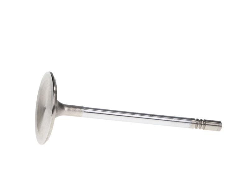 Manley Performance Manley 99-12 Ford V8 4.6L/281 5.4/330 45.5mm Race Series Stainless Steel Intake Valves (Set of 8)