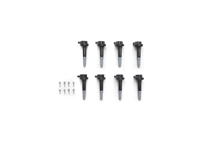 Ford Racing Boss 5.0L Block Plug & Dowel Kit