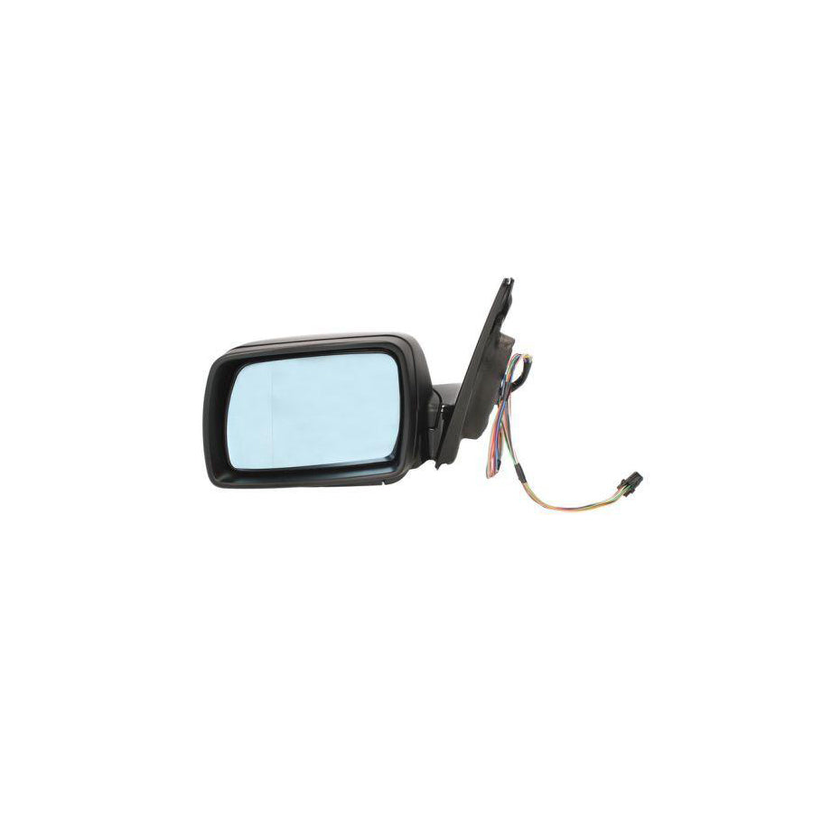 Blic 5402-05-014333P Wing Mirror for BMW X5 (E53)