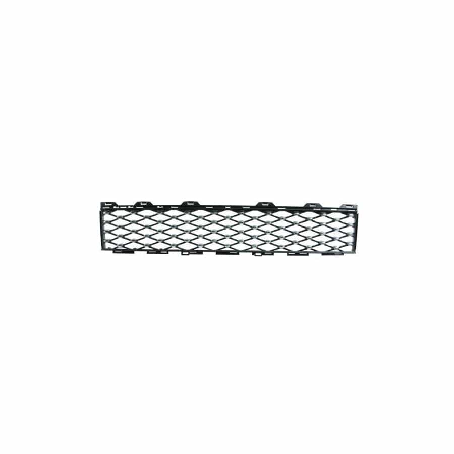 Blic 6502-07-2013910Pl Bumper Grill