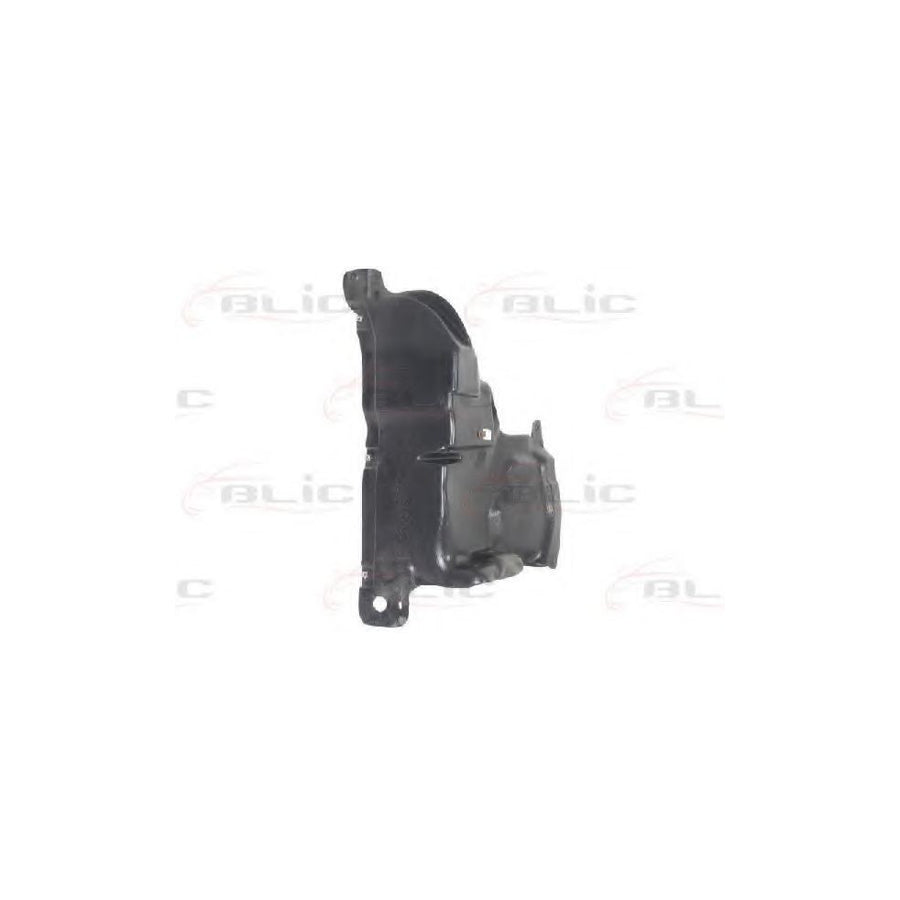 Blic 6601-02-2029871P Engine Cover for Fiat Bravo II Hatchback (198)