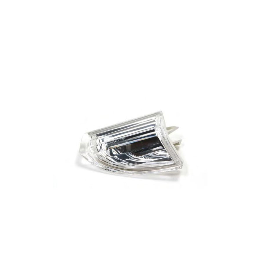 BUGIAD Bsp23813 Reflector, Fog Light for VW Passat CC (357)