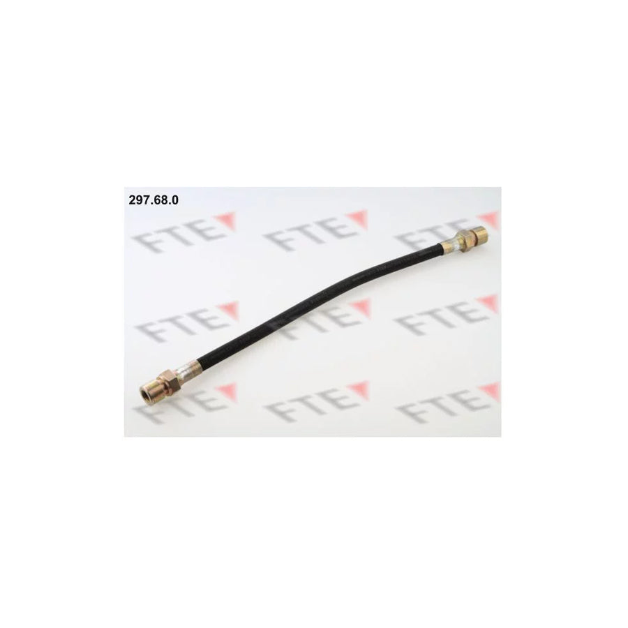FTE 297.68.0 Brake Hose