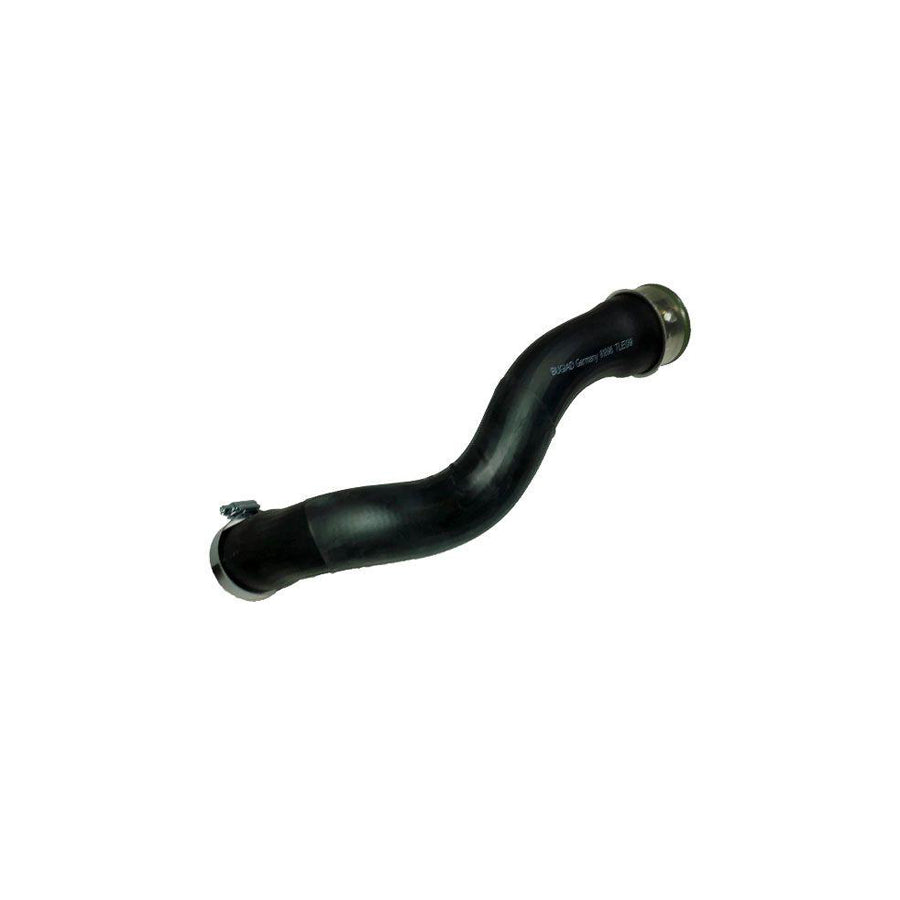 BUGIAD 81896 Charger Intake Hose for VW Sharan I (7M8, 7M9, 7M6)