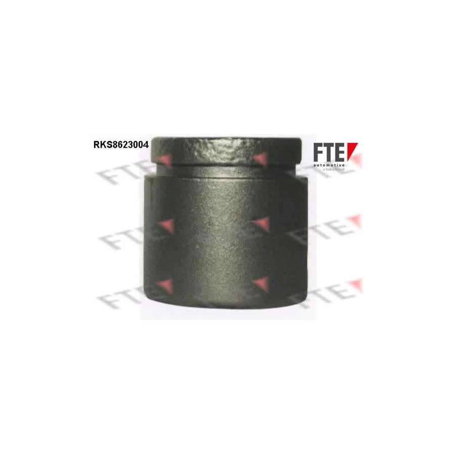 FTE 9313191 Piston, Brake Caliper