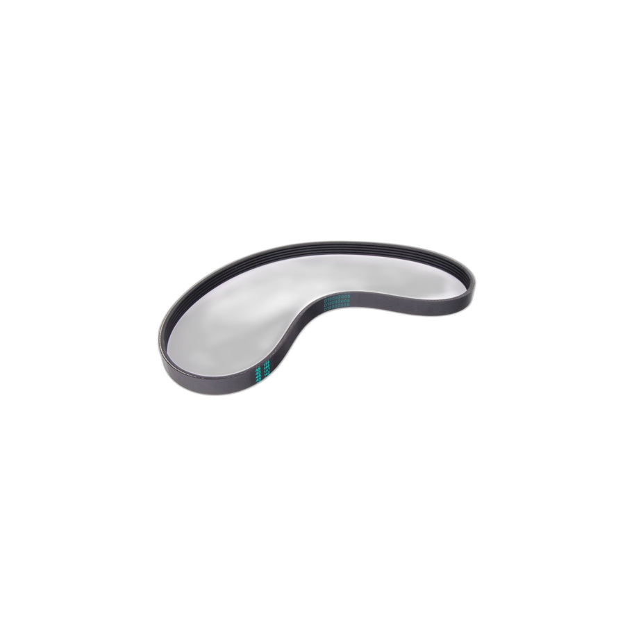 Genuine BMW 11281402334 E36 Ribbed V-Belt 5K X 880 (Inc. M3 & Z3 M)