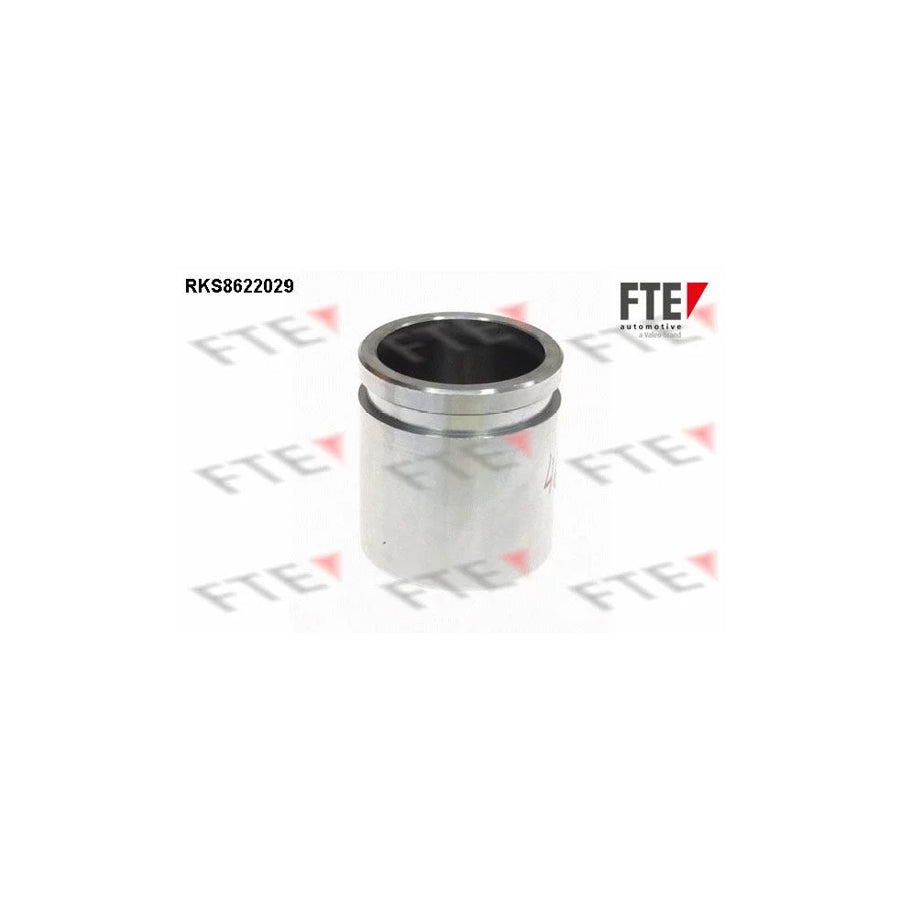 FTE 9313187 Piston, Brake Caliper