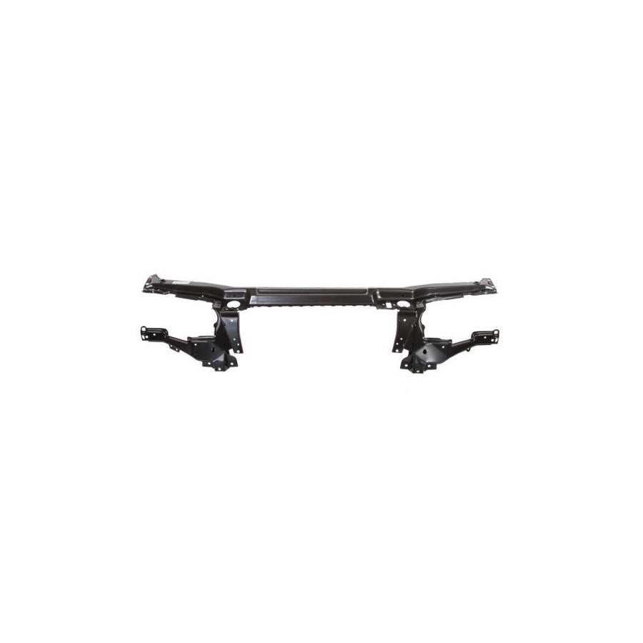 Blic 6502-08-0095200P Front Cowling for BMW X5 (E53)
