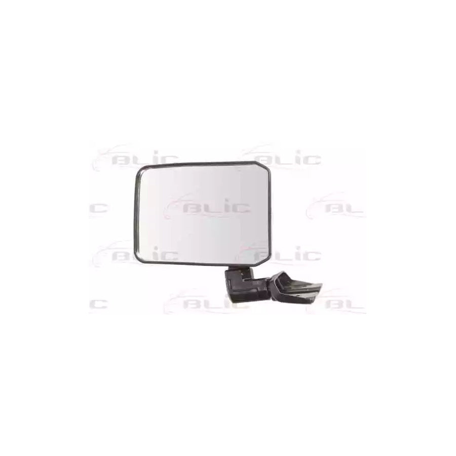Blic 5402-04-9992932 Wing Mirror for Toyota Land Cruiser Prado 70 Off-Road (J70)