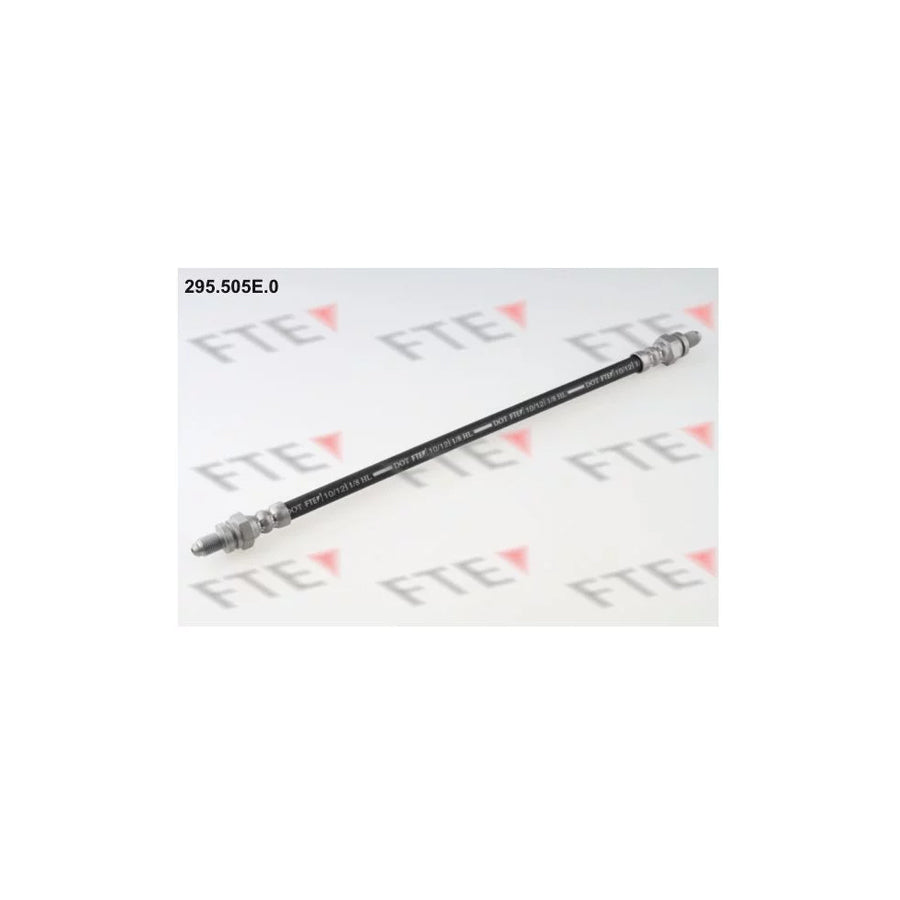 FTE 295.505E.0 Brake Hose