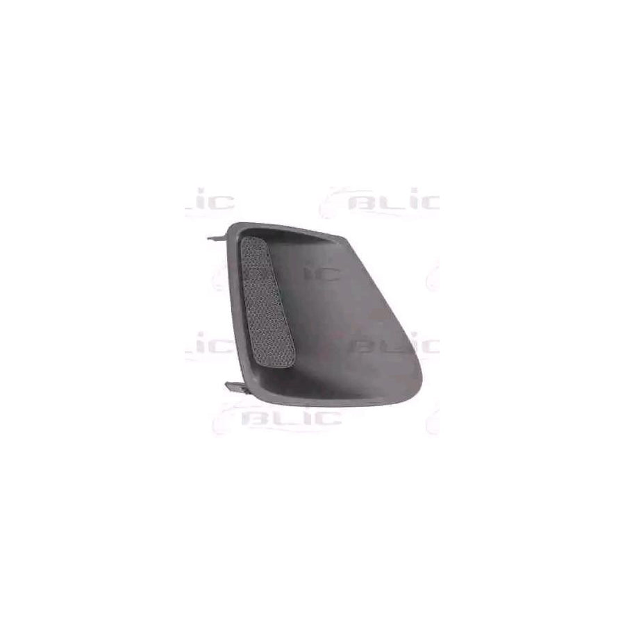 Blic 5510-00-81169902P Bumper Grill for Toyota Corolla X Saloon (E150)