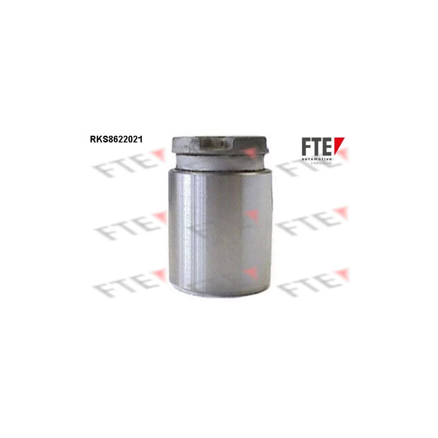 FTE 9313182 Piston, Brake Caliper
