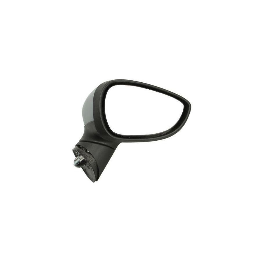 Blic 5402-04-1111394P Wing Mirror for Ford Fiesta