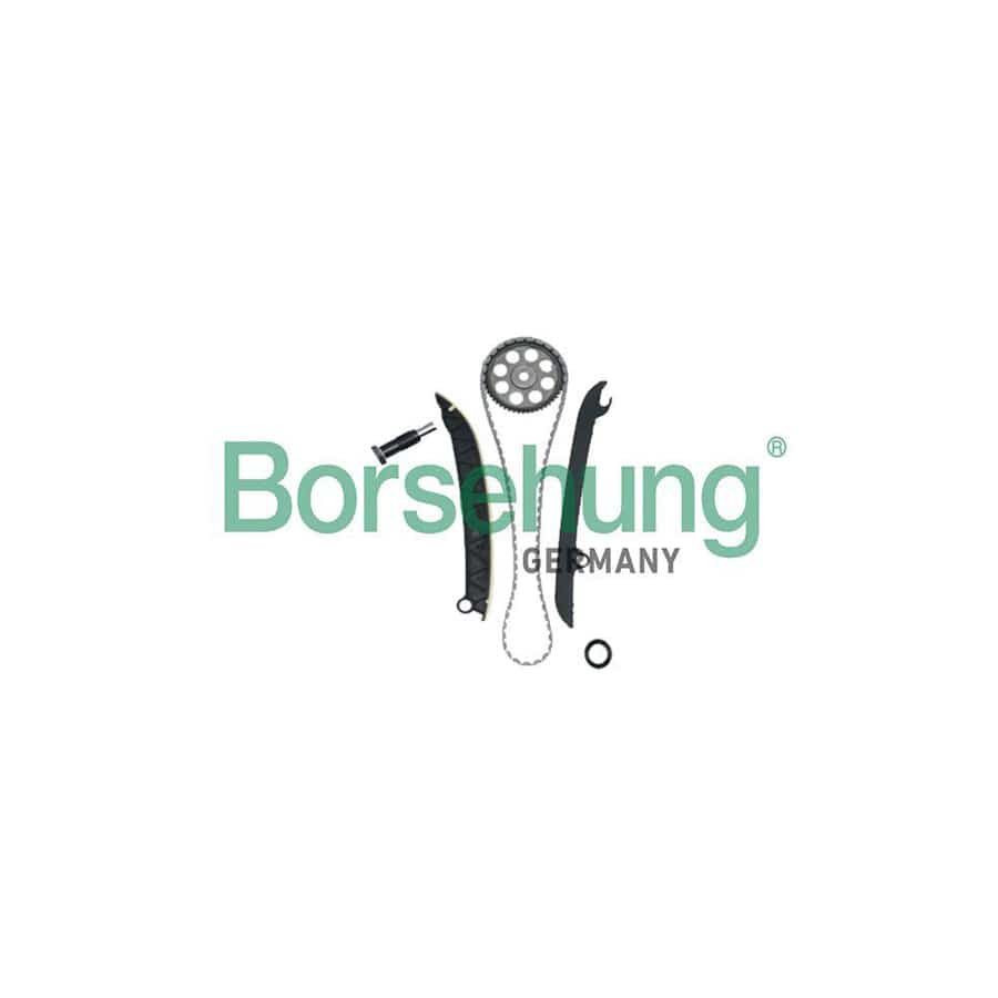 Borsehung B18977 Timing Chain Kit