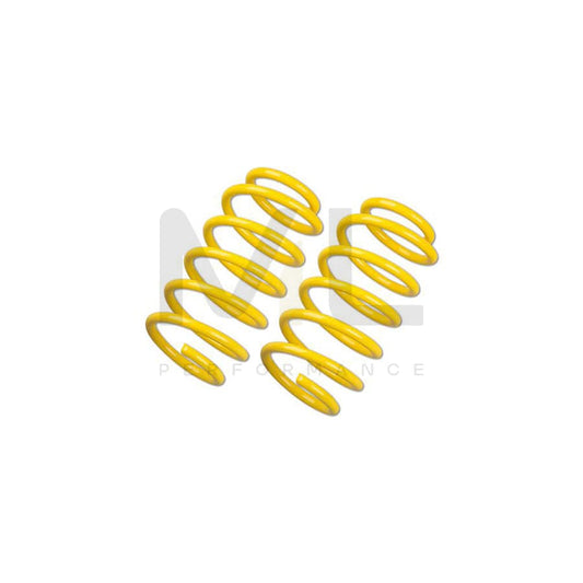 st-suspensions-28270002-peugeot-205-sport-springs