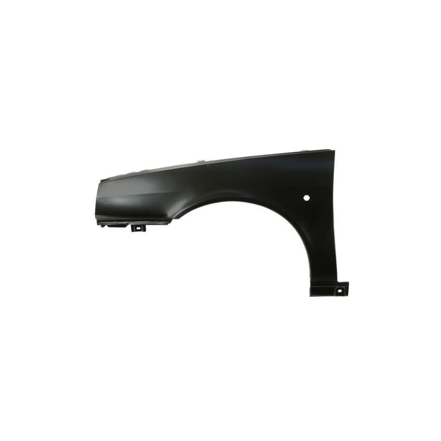 Blic 6504-04-2025311P Wing Fender for Fiat Tipo Hatchback (160)
