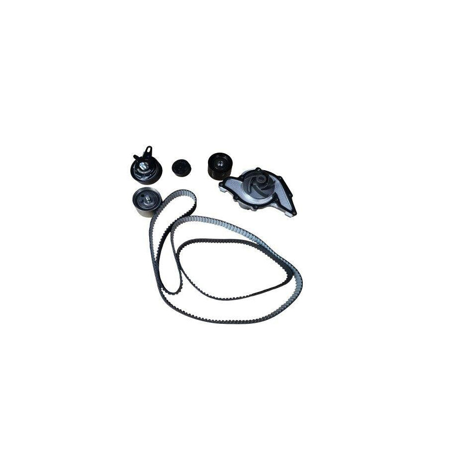 BUGIAD Btb56513 Water Pump And Timing Belt Kit
