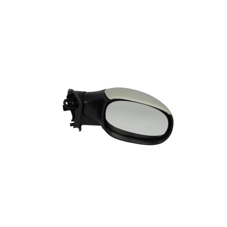 Blic 5402-04-1129851 Wing Mirror for Citroen C3 I Hatchback (Fc, Fn)