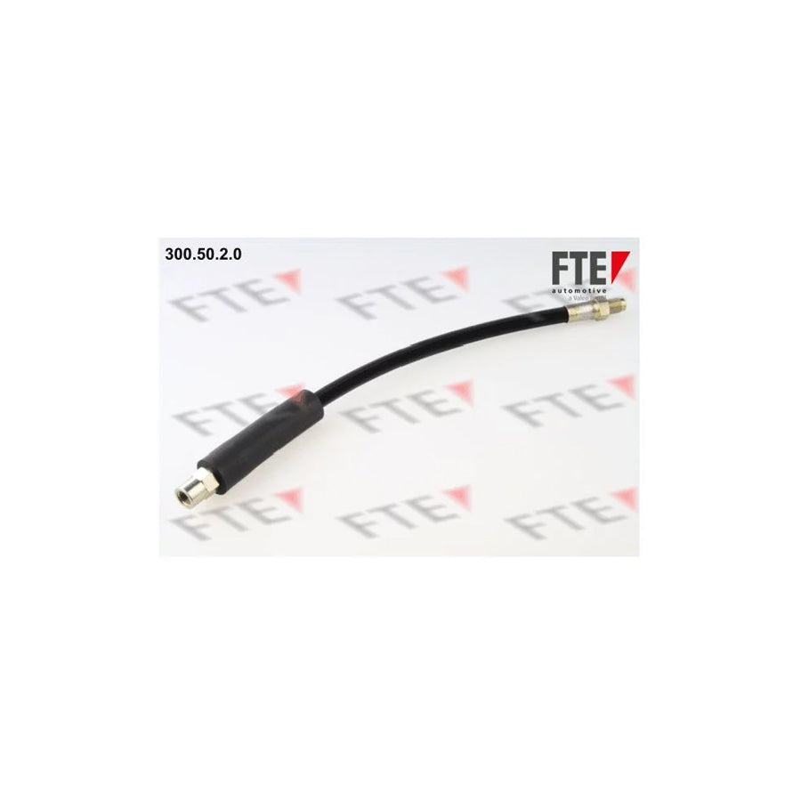 FTE 300.50.2.0 Brake Hose