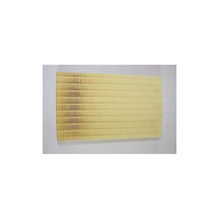 Automega 180035610 Air Filter For Ford Transit