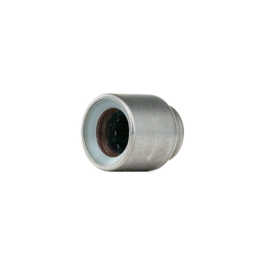 LuK 410 0015 10 Pilot Bearing, Clutch