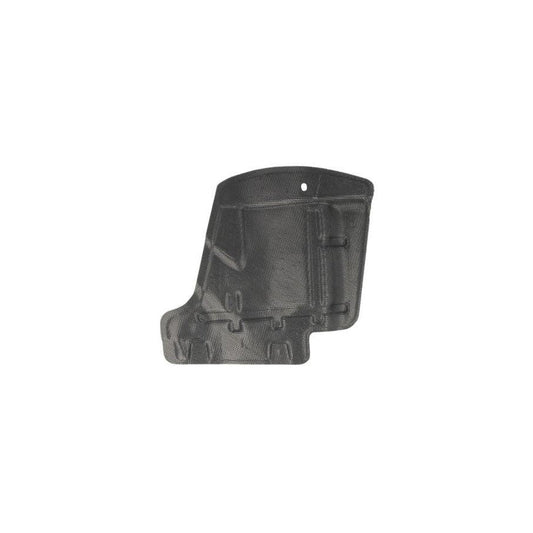 Blic 6601-02-2048871P Engine Cover for Fiat Croma