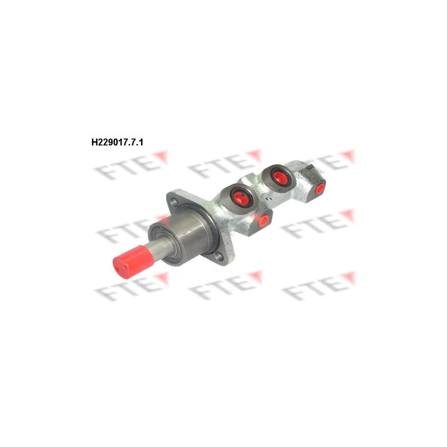 FTE H229017.7.1 Brake Master Cylinder