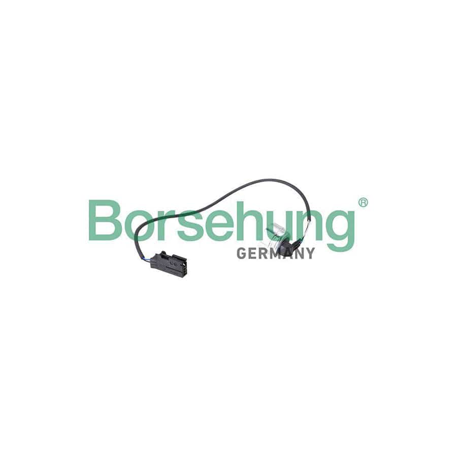 Borsehung B11873 Oil Pressure Sensor, Automated Manual Transmission (Amt)