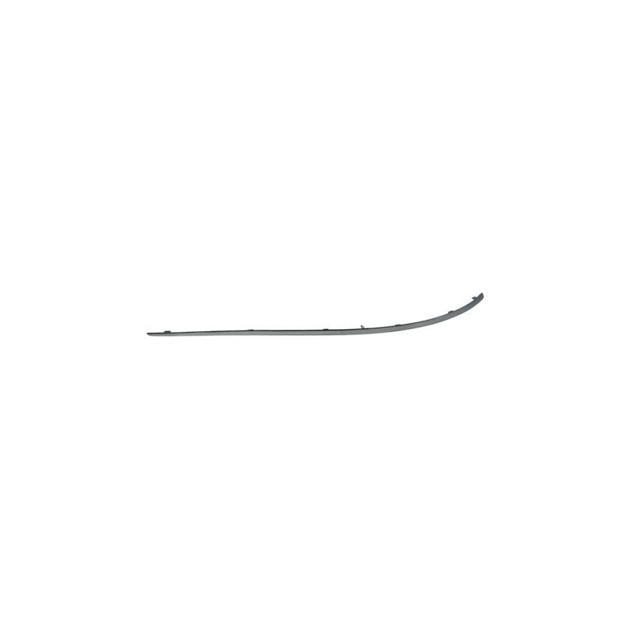 Blic 5703-05-3508922P Bumper Moulding Suitable for Mercedes-Benz B-Class (W245)