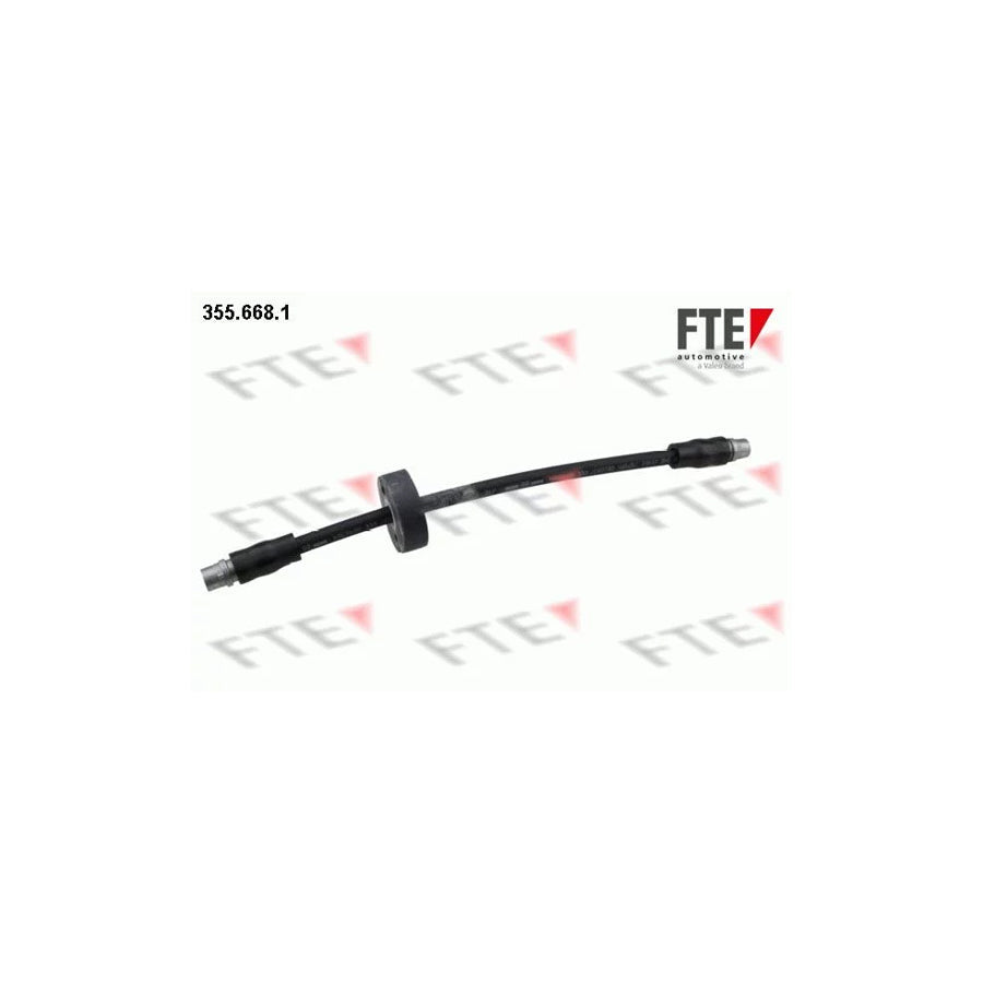 FTE 9240527 Brake Hose for Audi Allroad C5 (4Bh)
