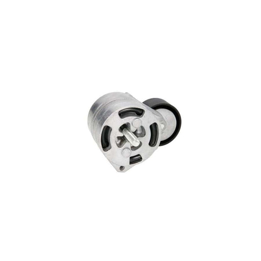 BTA E2G0020BTA Tensioner Pulley for Ford Transit