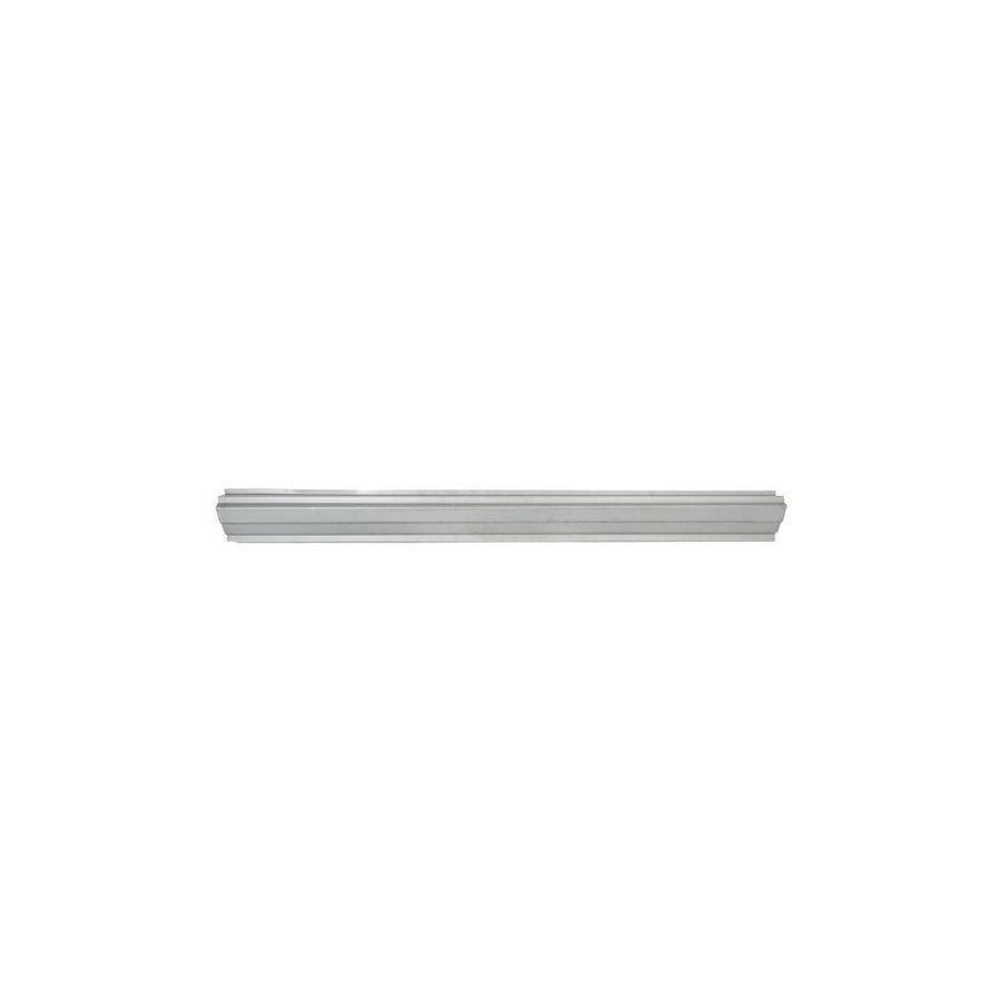 Blic 6505-06-0530015P Rocker Panel for Citroen XM