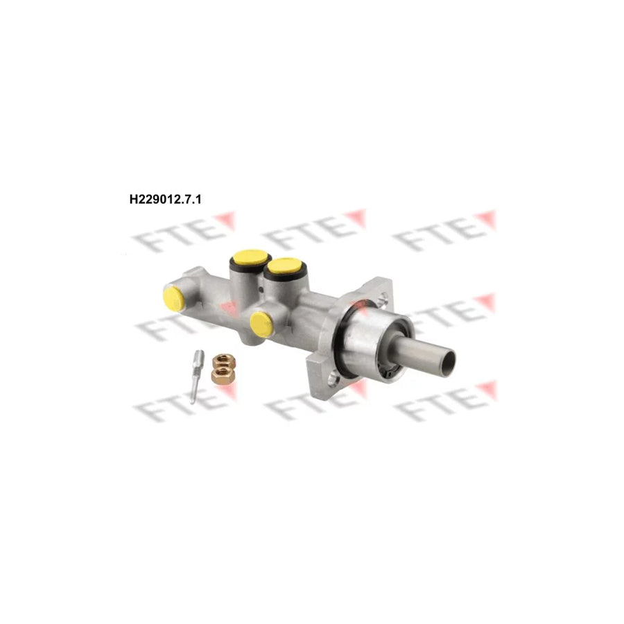 FTE H229012.7.1 Brake Master Cylinder