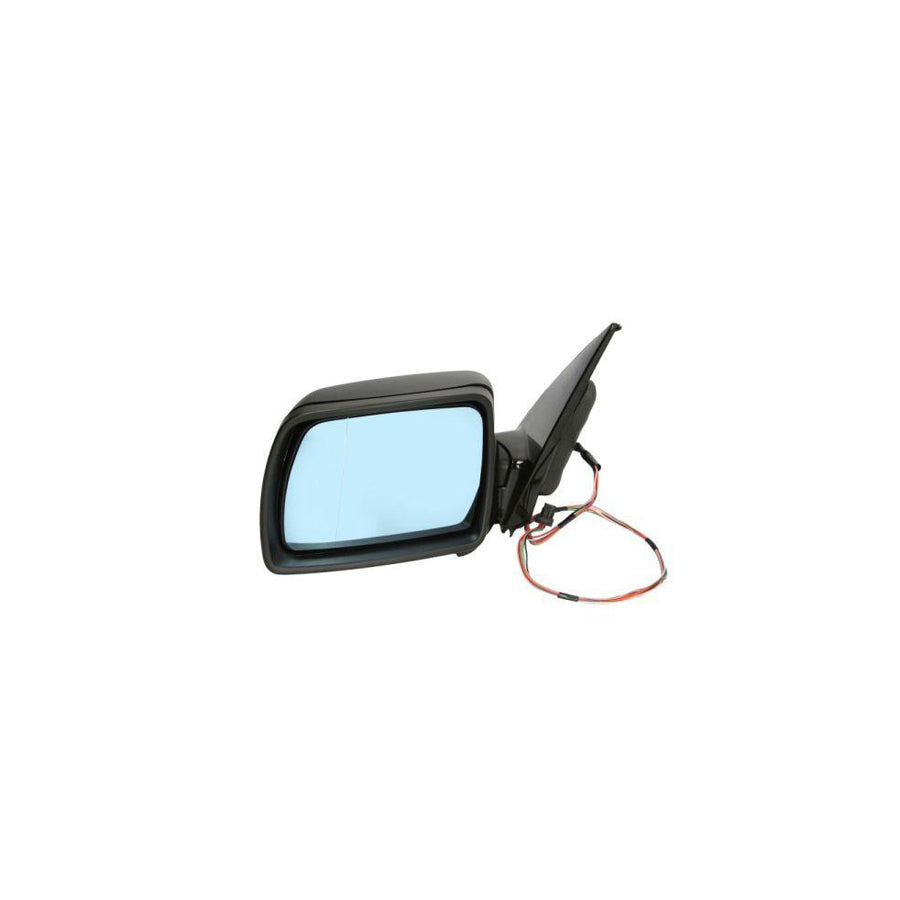 Blic 5402-05-014365P Wing Mirror for BMW X5 (E53)