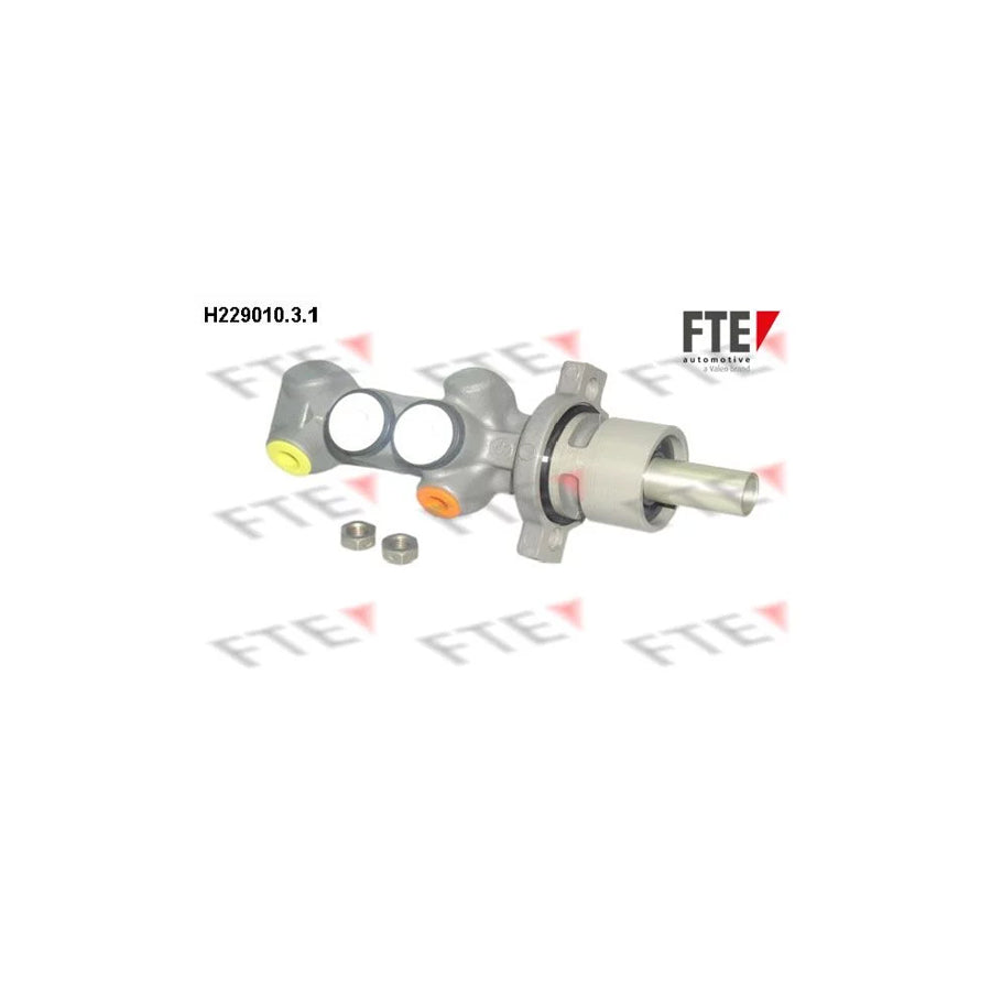 FTE H229010.3.1 Brake Master Cylinder