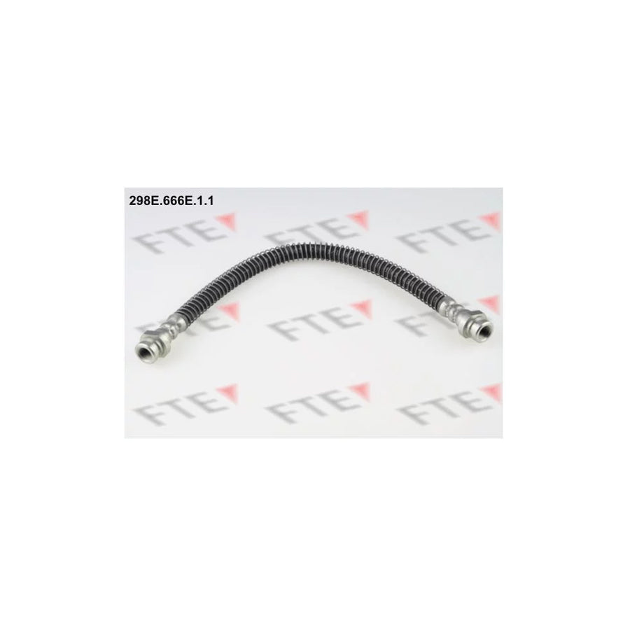 FTE 298E.666E.1.1 Brake Hose