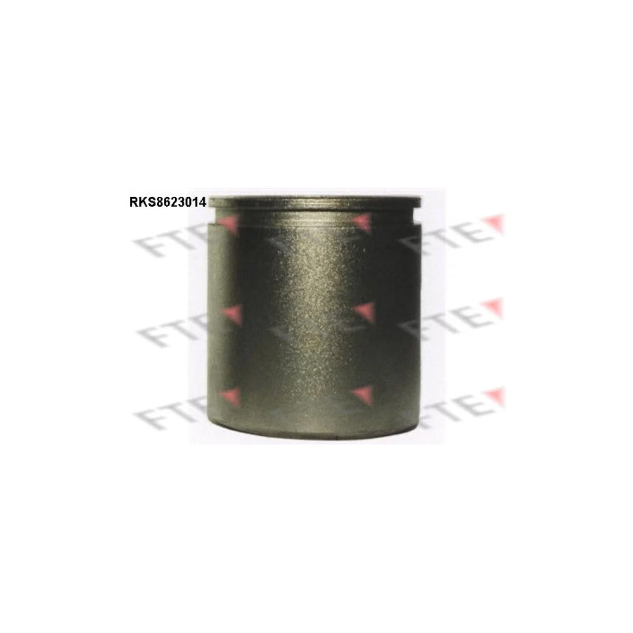 FTE 9313198 Piston, Brake Caliper