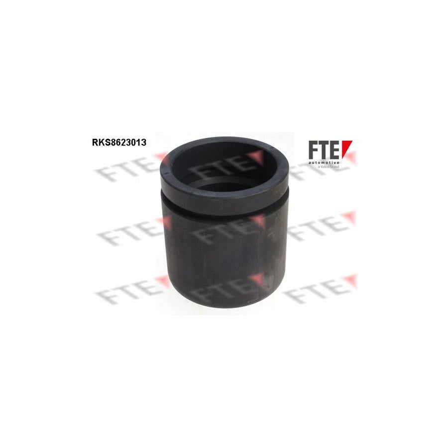 FTE 9313197 Piston, Brake Caliper