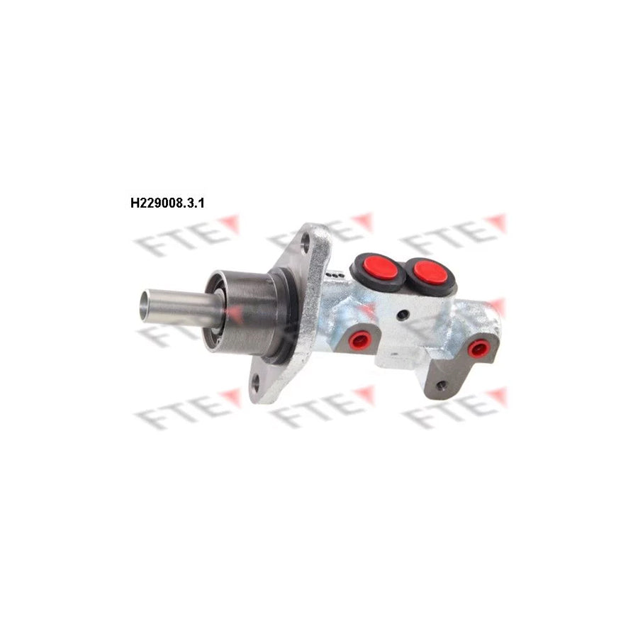 FTE H229008.3.1 Brake Master Cylinder