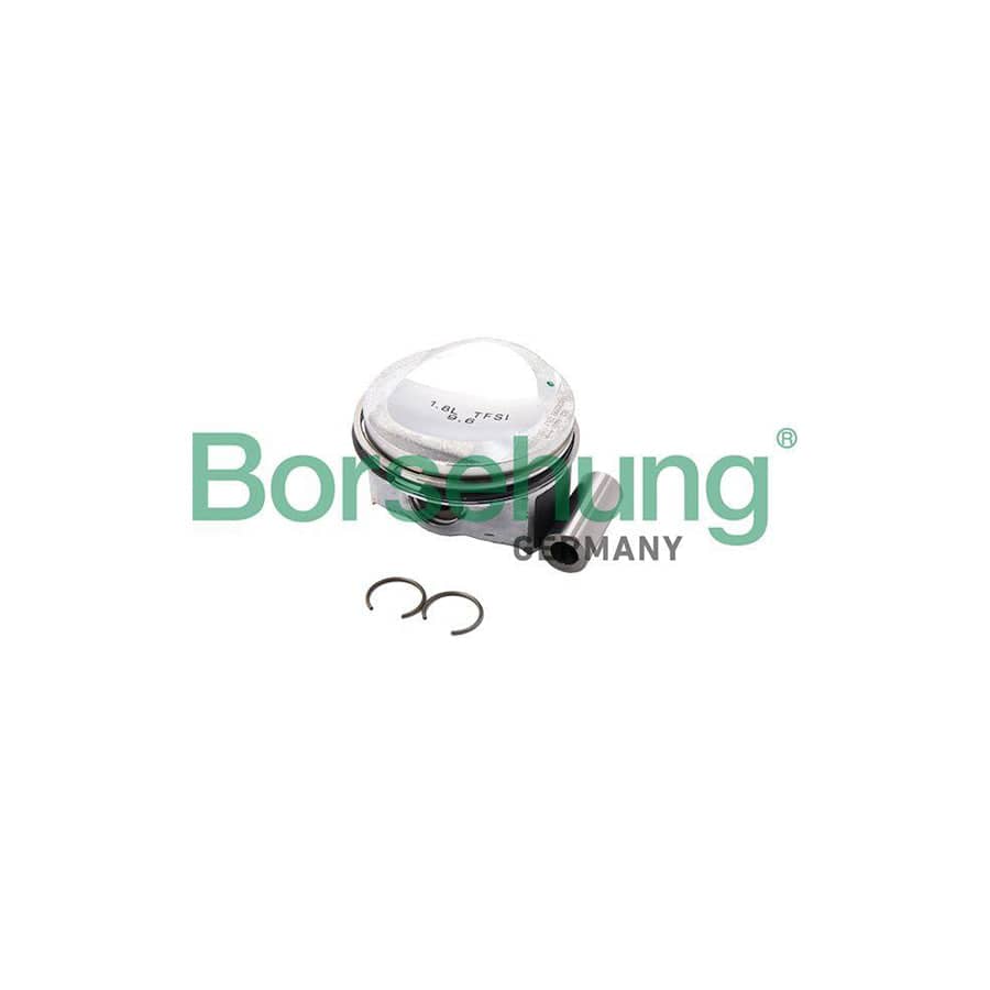 Borsehung B18989 Piston Ring Kit