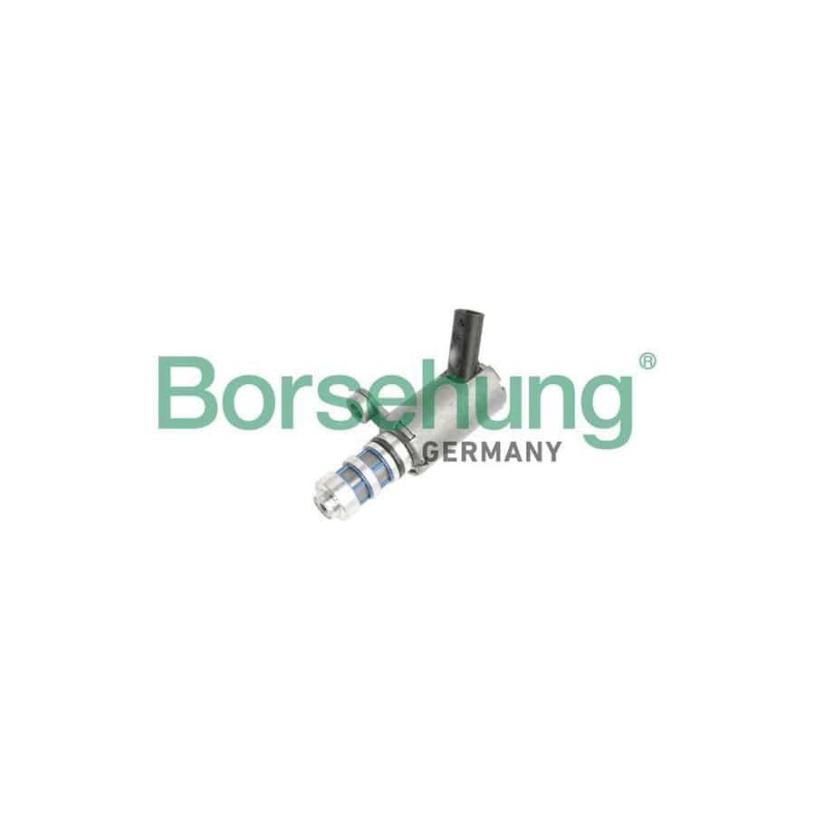 Borsehung B11858 Central Valve, Camshaft Adjustment