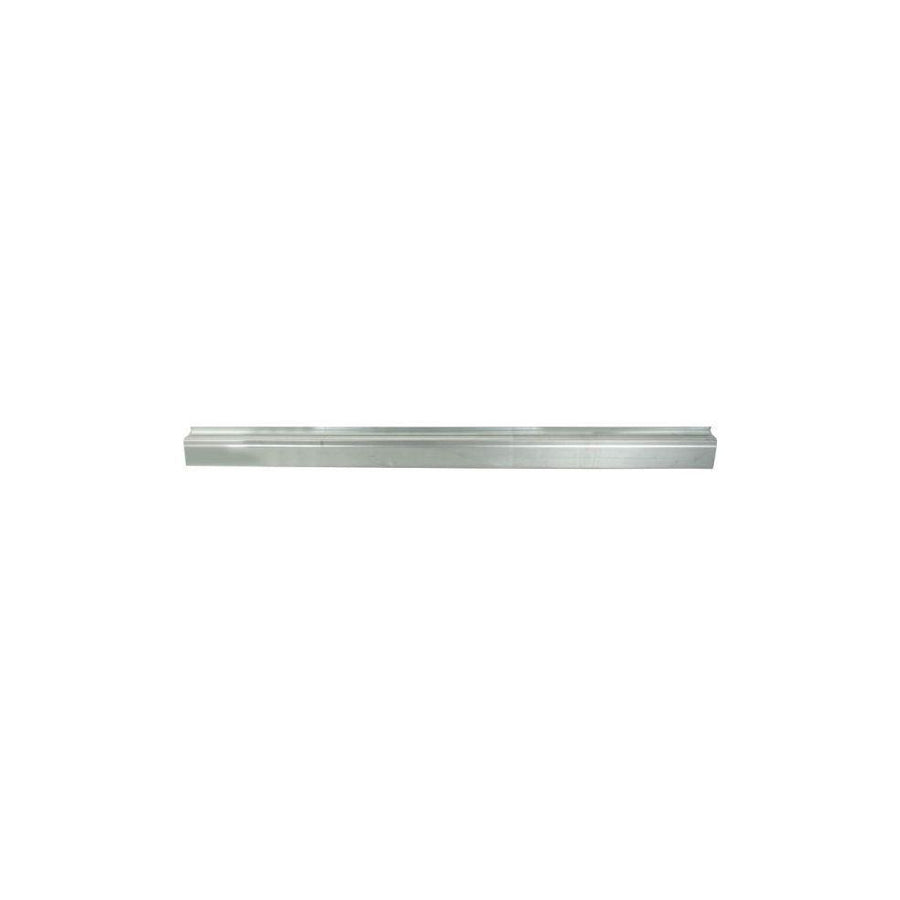 Blic 6505-06-0538016P Rocker Panel for Citroen C4 I Picasso (Ud)