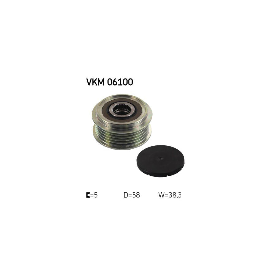 Skf Vkm 06100 Alternator Freewheel Clutch