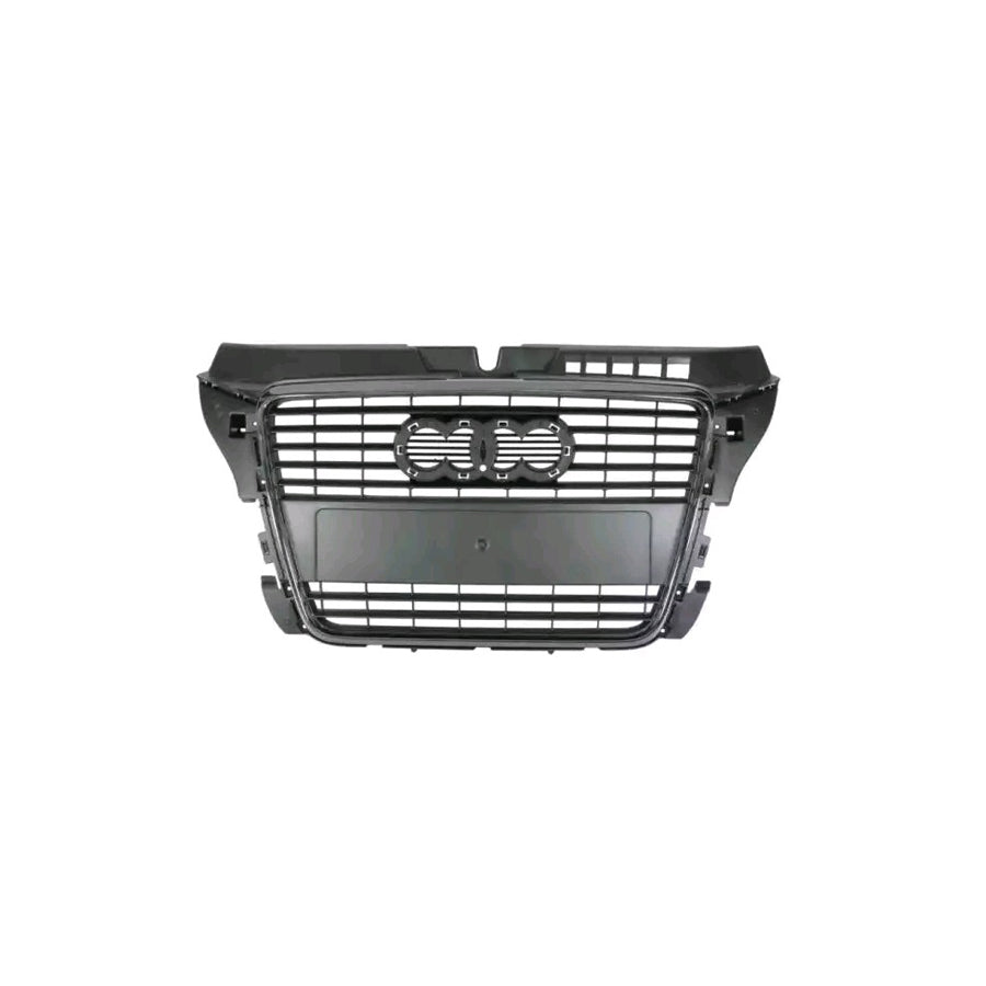 Blic 6502-07-0026996Q Radiator Grille for Audi A3